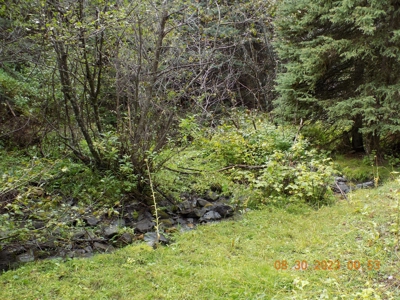 Off-Grid Mountain Cabin on Acreage with Wildlife! - image 28