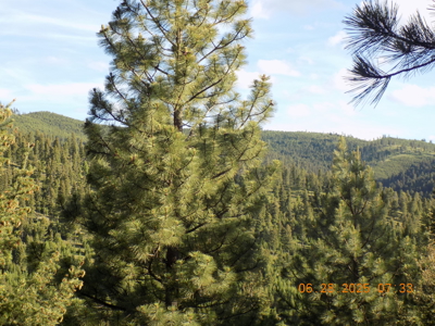 Off-Grid Mountain Cabin on Acreage with Wildlife! - image 41