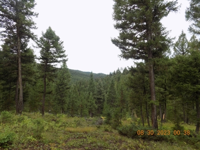 Off-Grid Mountain Cabin on Acreage with Wildlife! - image 29