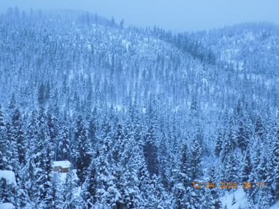 Off-Grid Mountain Cabin on Acreage with Wildlife! - image 42