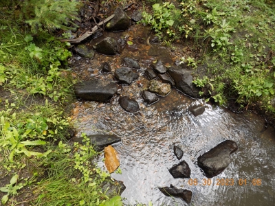 Off-Grid Mountain Cabin on Acreage with Wildlife! - image 26