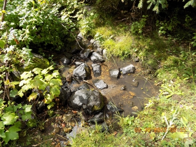 Off-Grid Mountain Cabin on Acreage with Wildlife! - image 27