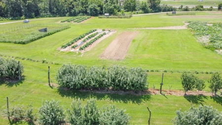 PEACH TREE FARM - Home & Business In The Heart of Missouri - image 9