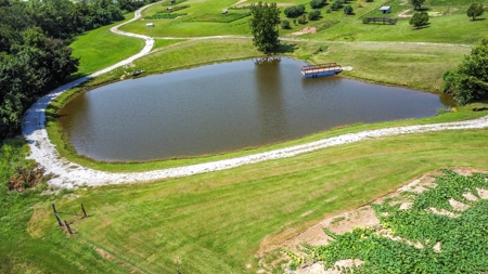 PEACH TREE FARM - Home & Business In The Heart of Missouri - image 16