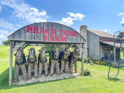 PEACH TREE FARM - Home & Business In The Heart of Missouri - image 2