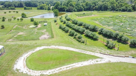 PEACH TREE FARM - Home & Business In The Heart of Missouri - image 11