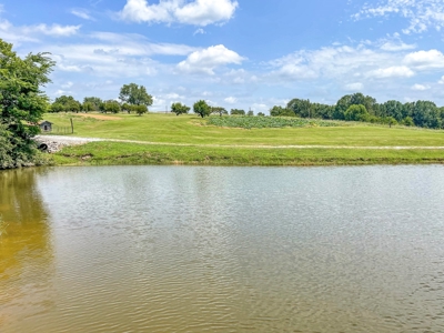 PEACH TREE FARM - Home & Business In The Heart of Missouri - image 42