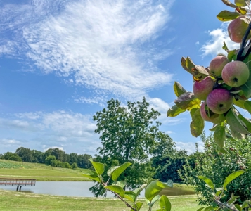 PEACH TREE FARM - Home & Business In The Heart of Missouri - image 40