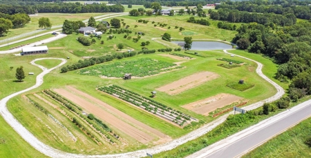 PEACH TREE FARM - Home & Business In The Heart of Missouri - image 13