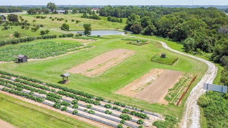 PEACH TREE FARM - Home & Business In The Heart of Missouri - image 12