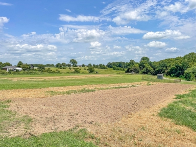 PEACH TREE FARM - Home & Business In The Heart of Missouri - image 33