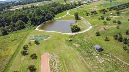 PEACH TREE FARM - Home & Business In The Heart of Missouri - image 17