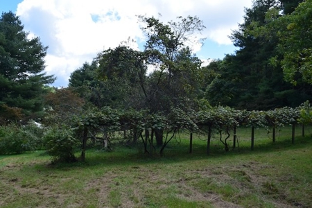 Investment Home for Sale Adjoining the Blue Ridge Parkway - image 12