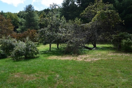 Investment Home for Sale Adjoining the Blue Ridge Parkway - image 10