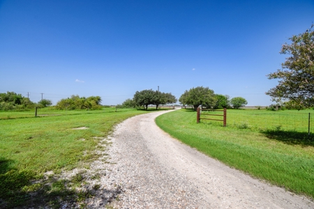 Horse and cattle ranch in Sinton, Texas - image 10