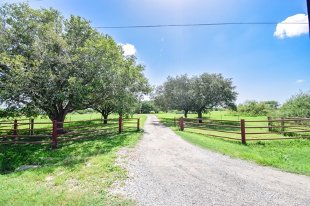 Horse and cattle ranch in Sinton, Texas - image 18