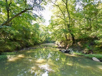 15± ACRES/ 3 LOTS w/BUCK CREEK FRONTAGE in Daisy, OK - image 7