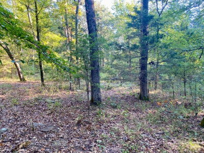 10 ± Acre Lot for Sale in Daisy, Oklahoma - image 5