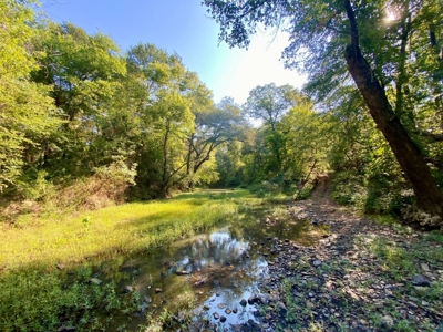 10 ± Acre Lot for Sale in Daisy, Oklahoma - image 8