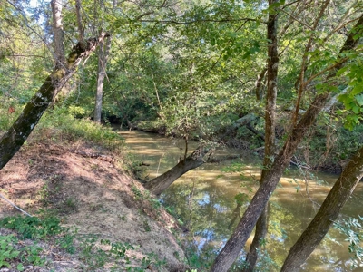 10 ± Acre Lot for Sale in Daisy, Oklahoma - image 10