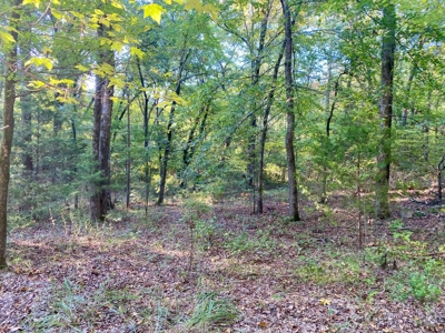 10 ± Acre Lot for Sale in Daisy, Oklahoma - image 3