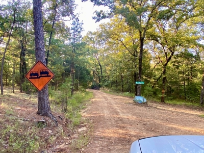 10 ± Acre Lot for Sale in Daisy, Oklahoma - image 6