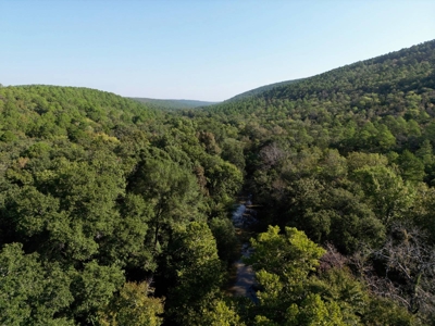 10 ± Acre Lot for Sale in Daisy, Oklahoma - image 2