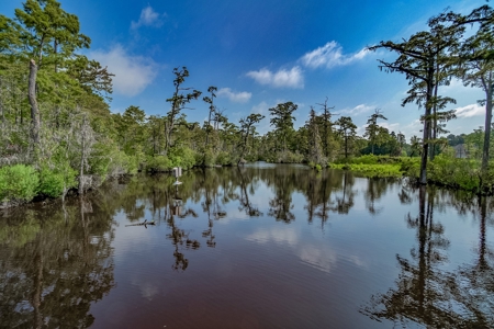 Albemarle Plantation Waterfront Home For Sale - image 36