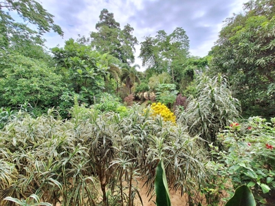 Titled Bluff Beach BnB, Bocas del Toro - image 41