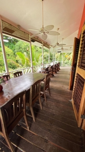 Titled Bluff Beach BnB, Bocas del Toro - image 6