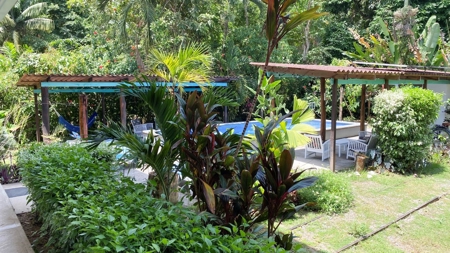 Titled Bluff Beach BnB, Bocas del Toro - image 27