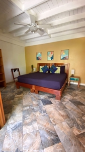 Titled Bluff Beach BnB, Bocas del Toro - image 24