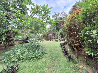 Titled Bluff Beach BnB, Bocas del Toro - image 40