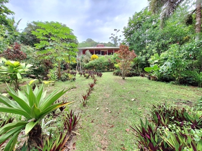 Titled Bluff Beach BnB, Bocas del Toro - image 39