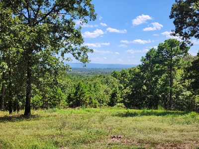 Wildhorse Road Country Home - Shop - Acreage - For Sale - image 4
