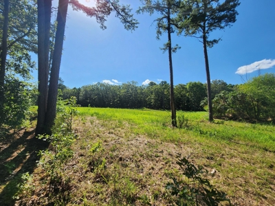Wildhorse Road Country Home - Shop - Acreage - For Sale - image 31