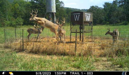Wildhorse Road Country Home - Shop - Acreage - For Sale - image 35