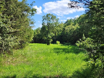 Wildhorse Road Country Home - Shop - Acreage - For Sale - image 25