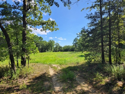 Wildhorse Road Country Home - Shop - Acreage - For Sale - image 28