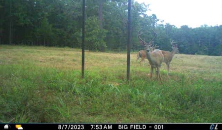 Wildhorse Road Country Home - Shop - Acreage - For Sale - image 36