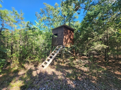 Wildhorse Road Country Home - Shop - Acreage - For Sale - image 30