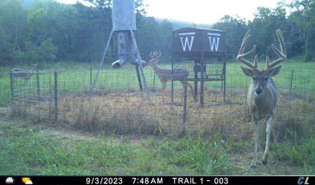 Wildhorse Road Country Home - Shop - Acreage - For Sale - image 34