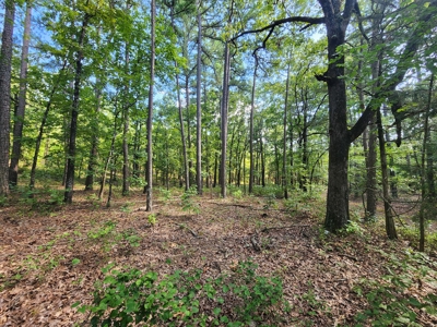 Wildhorse Road Country Home - Shop - Acreage - For Sale - image 26