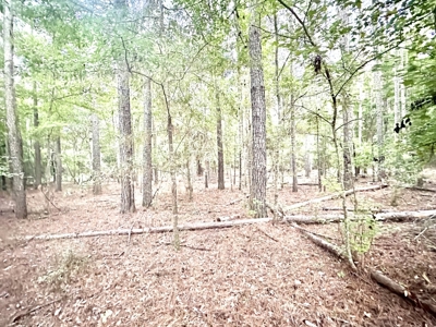 Land For Sale By The Suwannee River !! - image 3