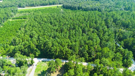 Land For Sale By The Suwannee River !! - image 11