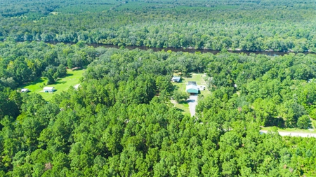 Land For Sale By The Suwannee River !! - image 10