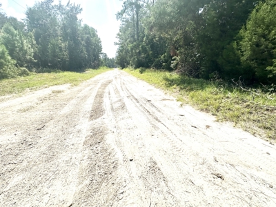 Land For Sale By The Suwannee River !! - image 4