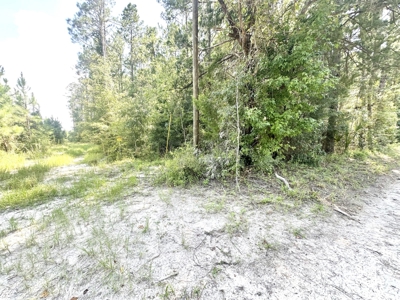 Land For Sale By The Suwannee River !! - image 1