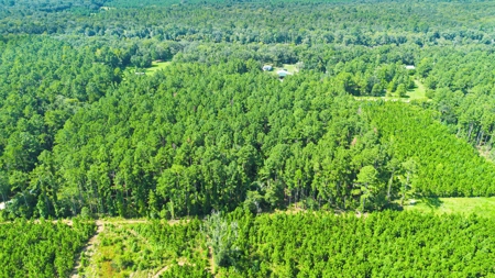 Land For Sale By The Suwannee River !! - image 9