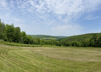 Ranch Home With Acreage For Sale in Otselic, New York - image 34